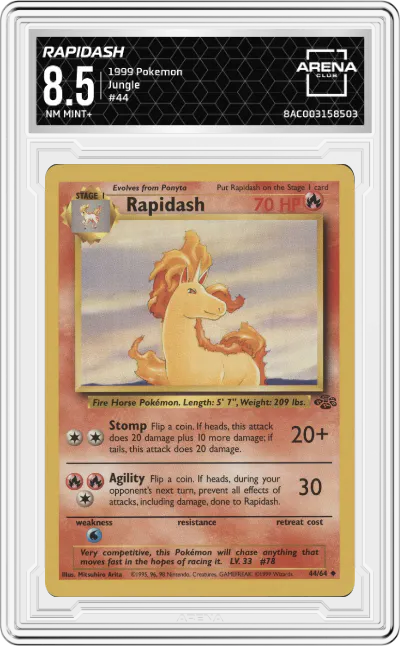 Rapidash