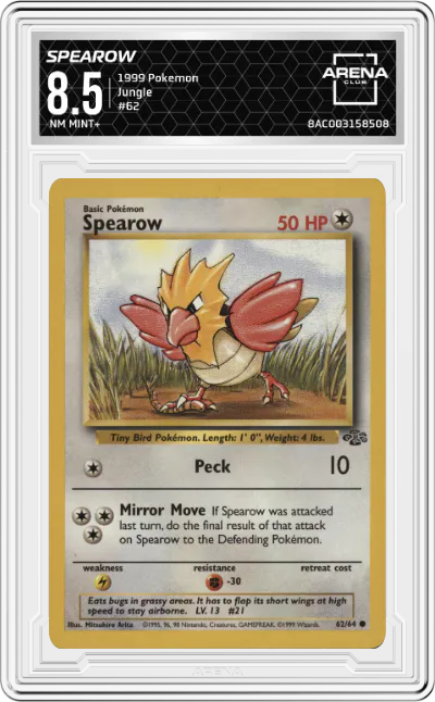 Spearow