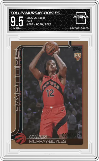 Collin Murray-Boyles