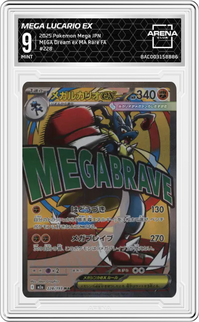 Mega Lucario ex