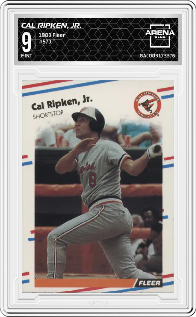Cal Ripken, Jr.