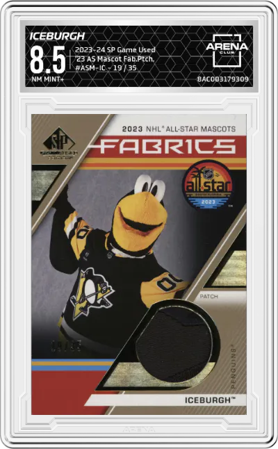 Iceburgh