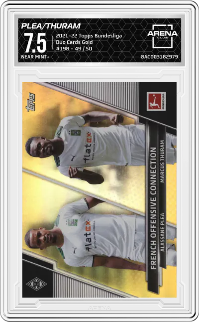 Alassane Plea/Marcus Thuram