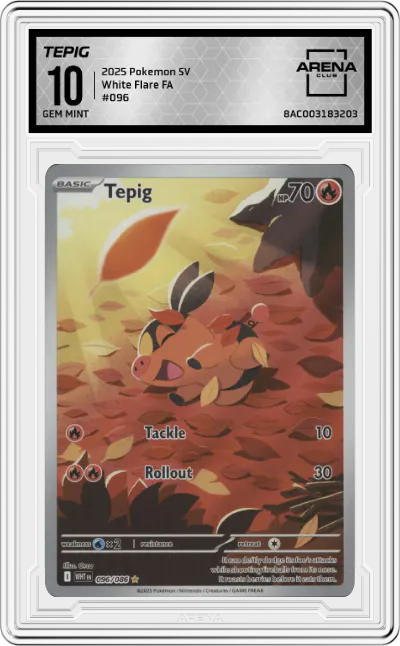 Tepig