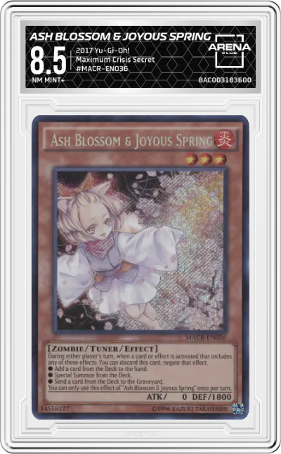 Ash Blossom & Joyous Spring