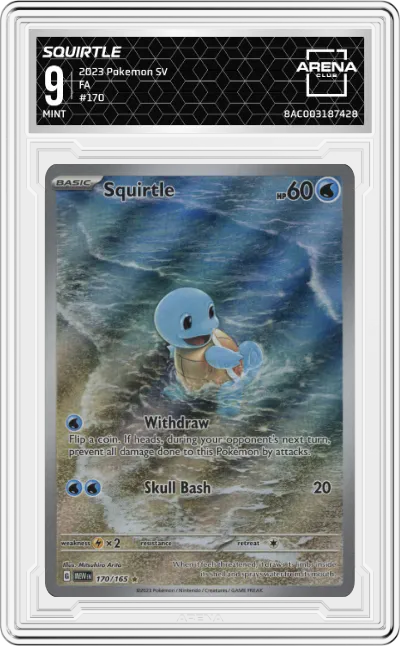 Squirtle
