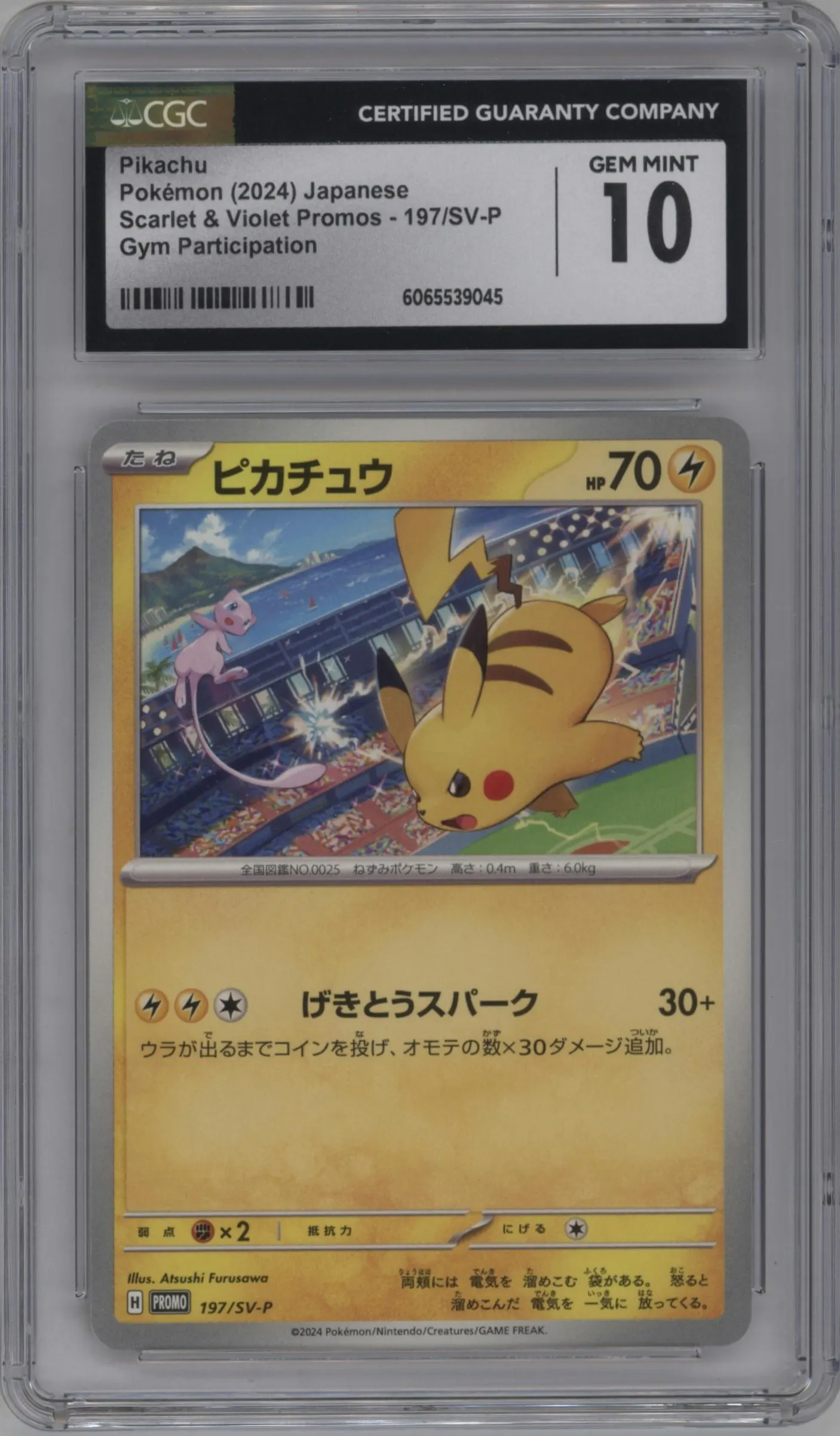2024 Pokemon SV JPN Pikachu Gym Event Campaign #197 CGC 10