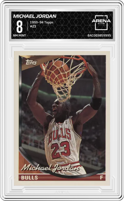 1993 Topps Michael Jordan #23 ARENA CLUB 8