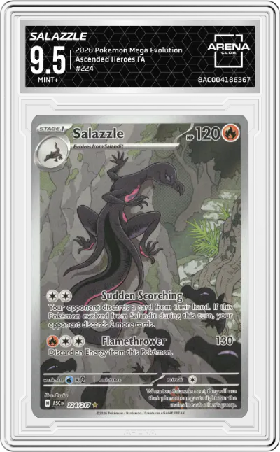 2026 Pokemon Mega Evolution Ascended Heroes Salazzle #224 ARENA CLUB 9.5