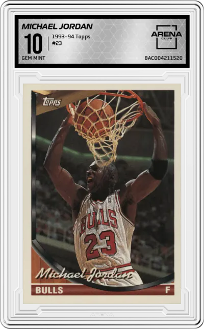 1993 Topps Michael Jordan #23 ARENA CLUB 10