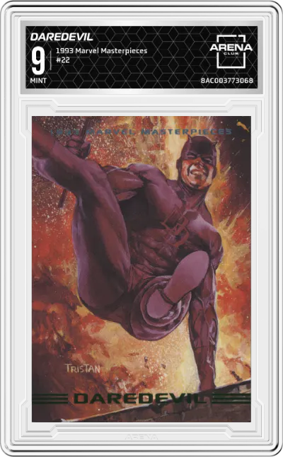 1993 SkyBox Marvel Masterpieces Daredevil #22 ARENA CLUB 9