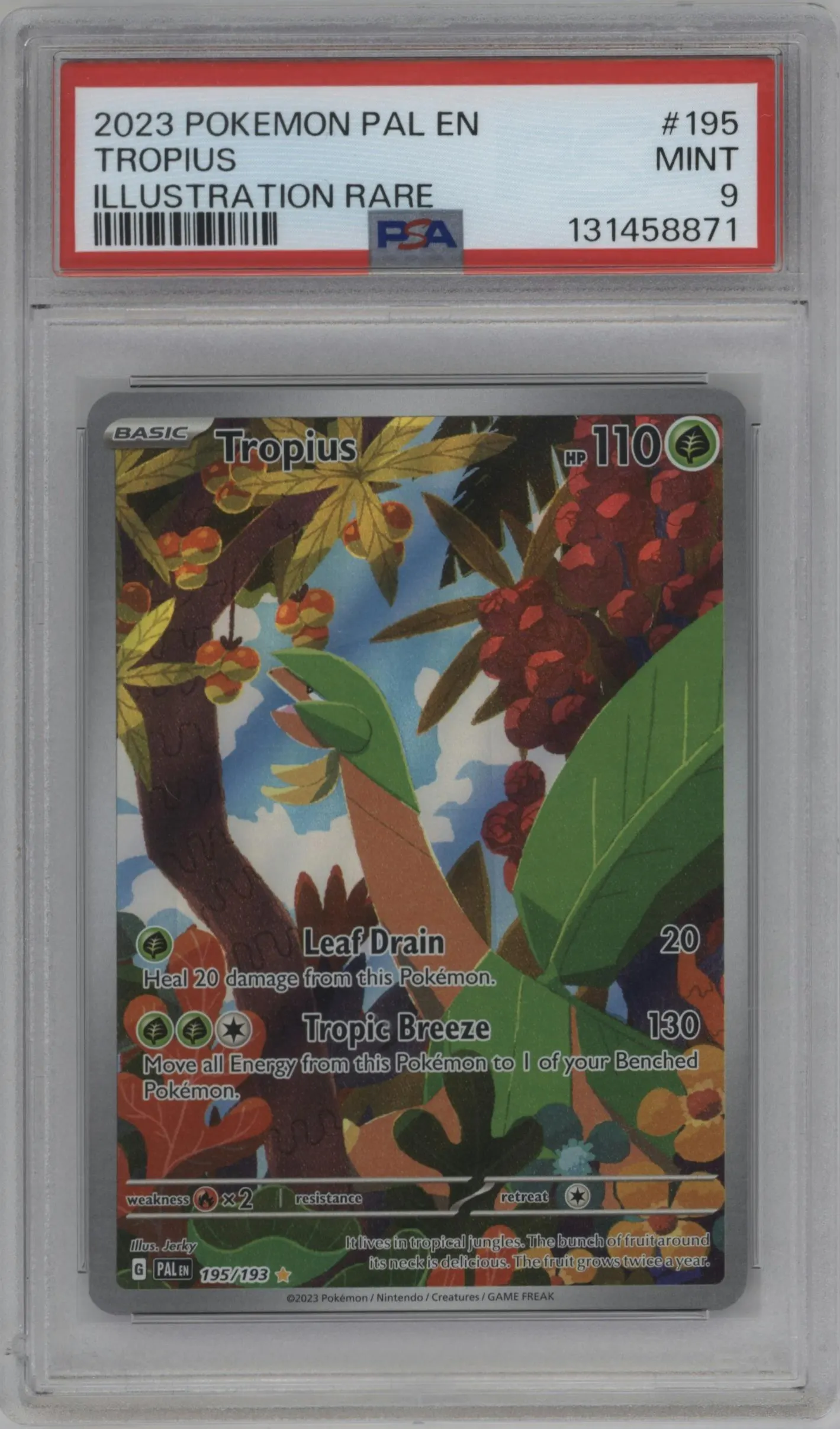 2023 Pokemon SV Paldea Evolved Tropius #195 PSA 9