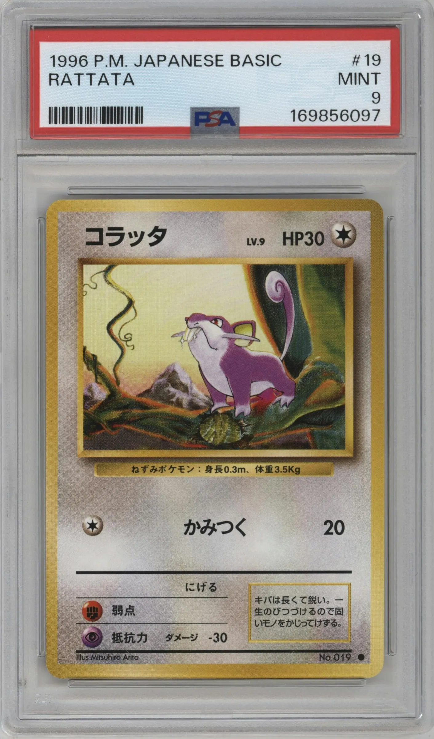 1996 Pokemon JPN Expansion Pack Rattata #019 PSA 9