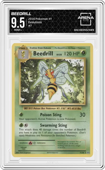 2016 Pokemon XY Evolutions Beedrill #7 ARENA CLUB 9.5