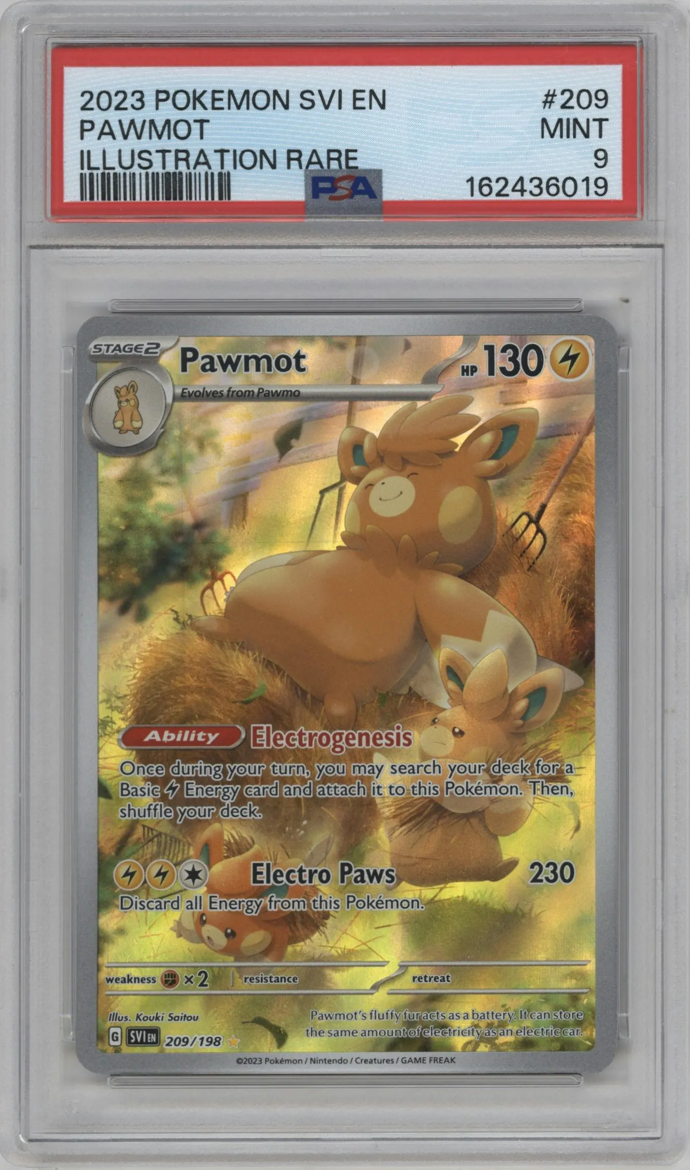 2023 Pokemon SV Pawmot #209 PSA 9