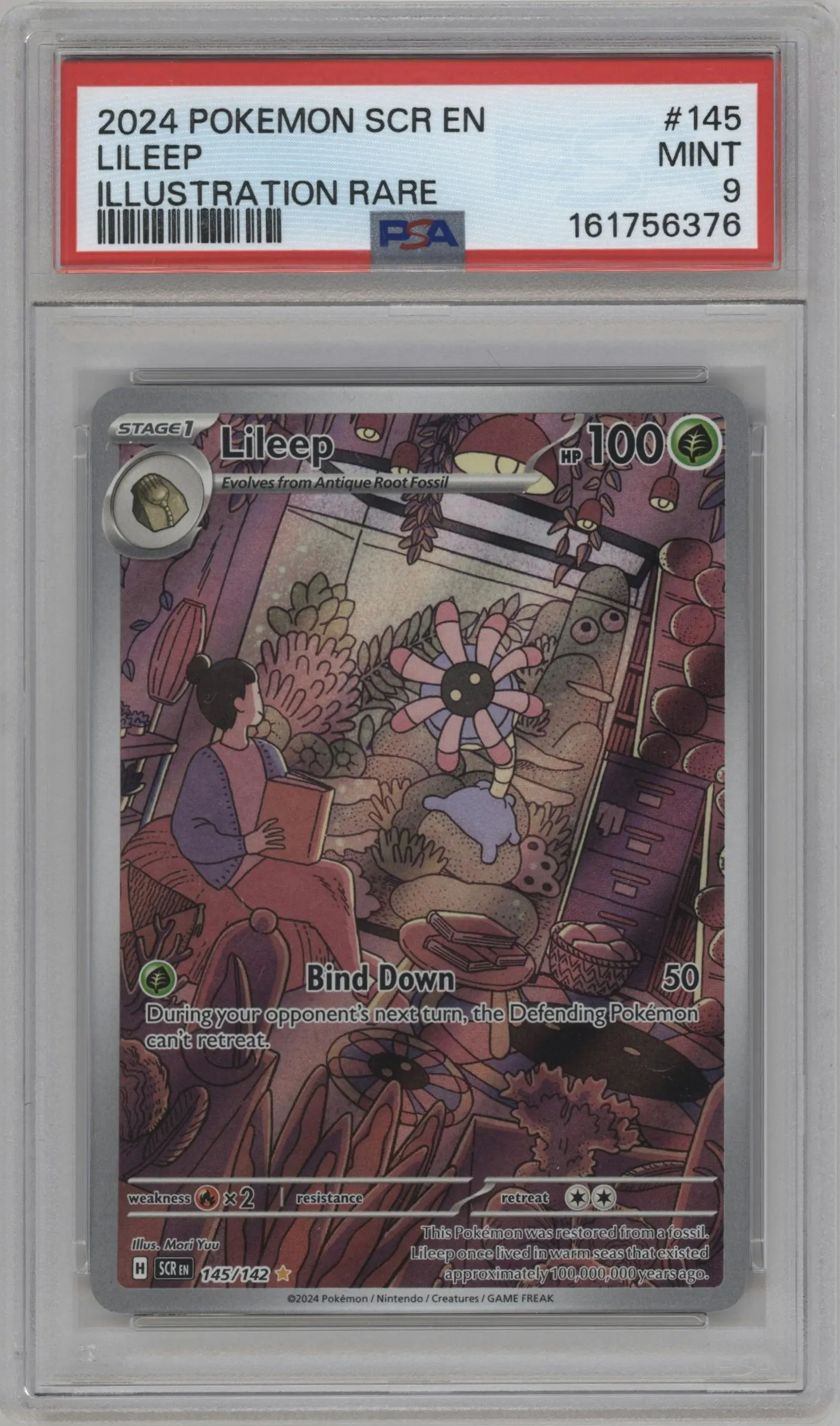 2024 Pokemon SV Stellar Crown Lileep #145 PSA 9