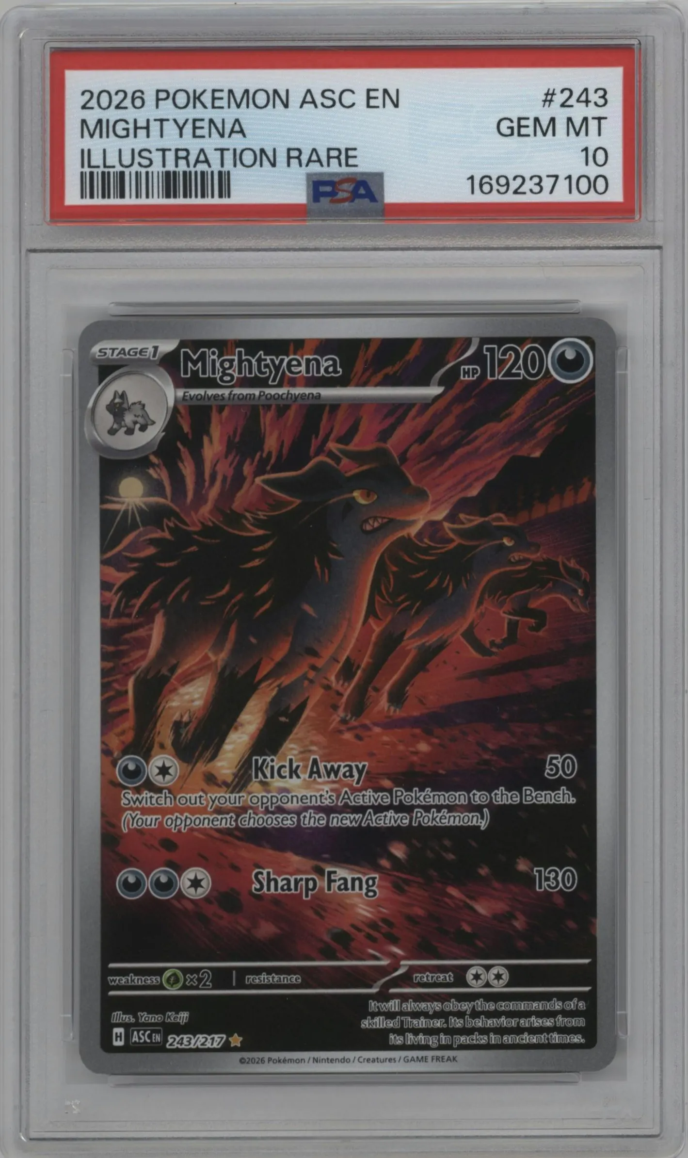 2026 Pokemon Mega Evolution Ascended Heroes Mightyena #243 PSA 10