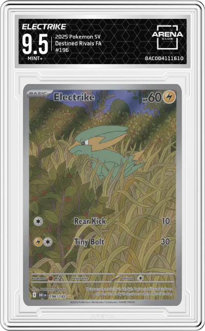 2025 Pokemon SV Destined Rivals Electrike #196 ARENA CLUB 9.5