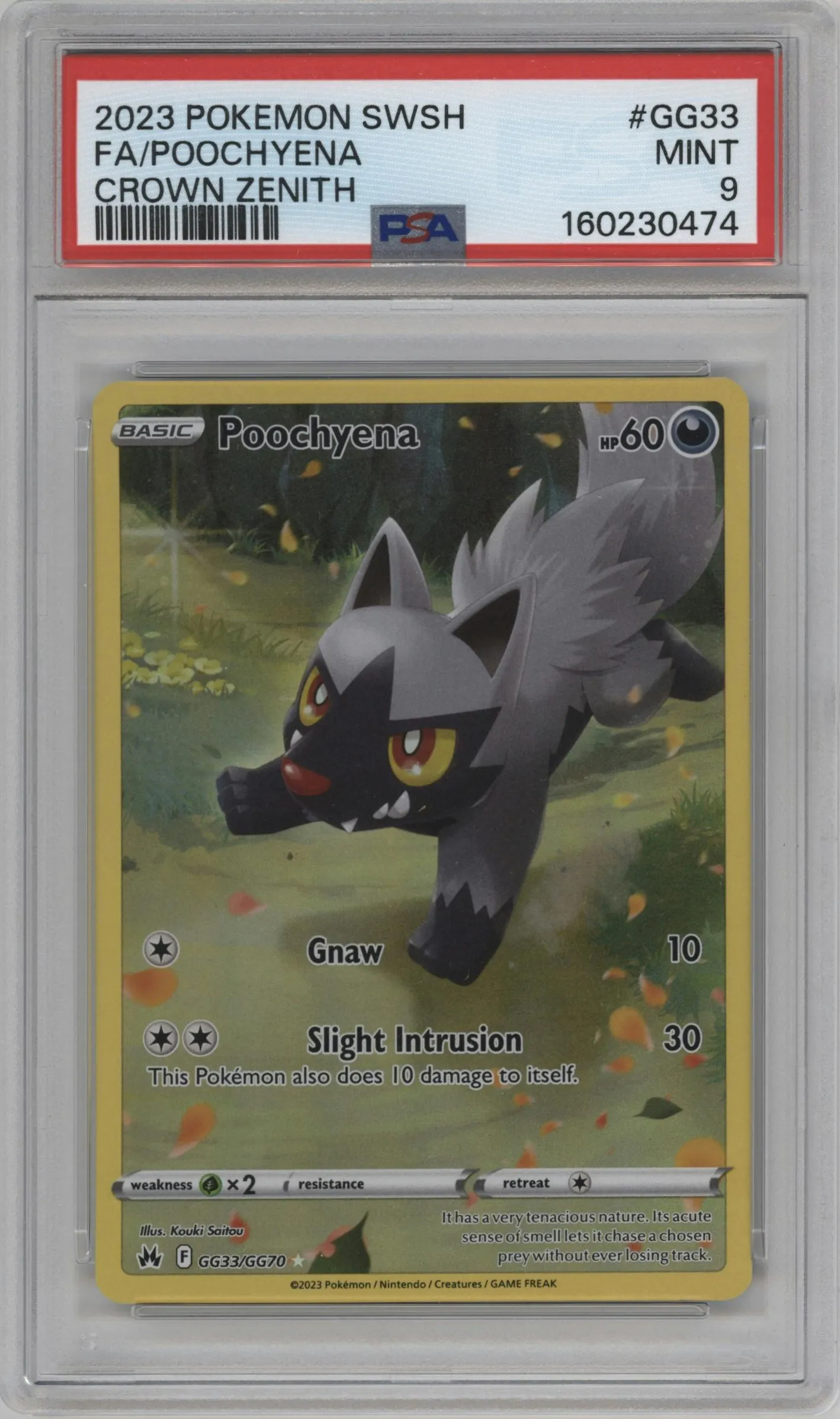 2023 Pokemon SWSH Crown Zenith GG Poochyena #GG33 PSA 9