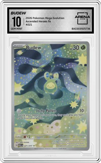 2026 Pokemon Mega Evolution Ascended Heroes Budew #221 ARENA CLUB 10