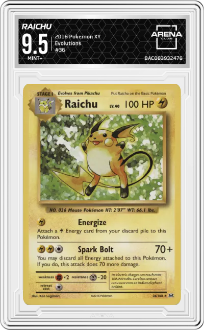 2016 Pokemon XY Evolutions Raichu #36 ARENA CLUB 9.5