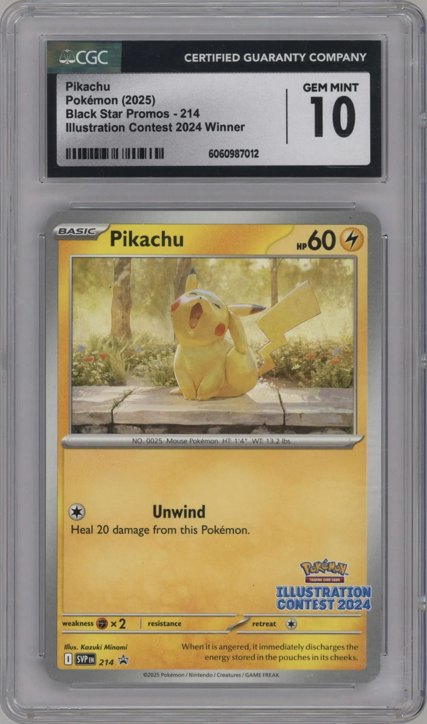 2025 Pokemon SV Pikachu Illustration Contest 2024 #214 CGC 10