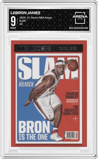 2020 Panini NBA Hoops SLAM LeBron James #2 ARENA CLUB 9