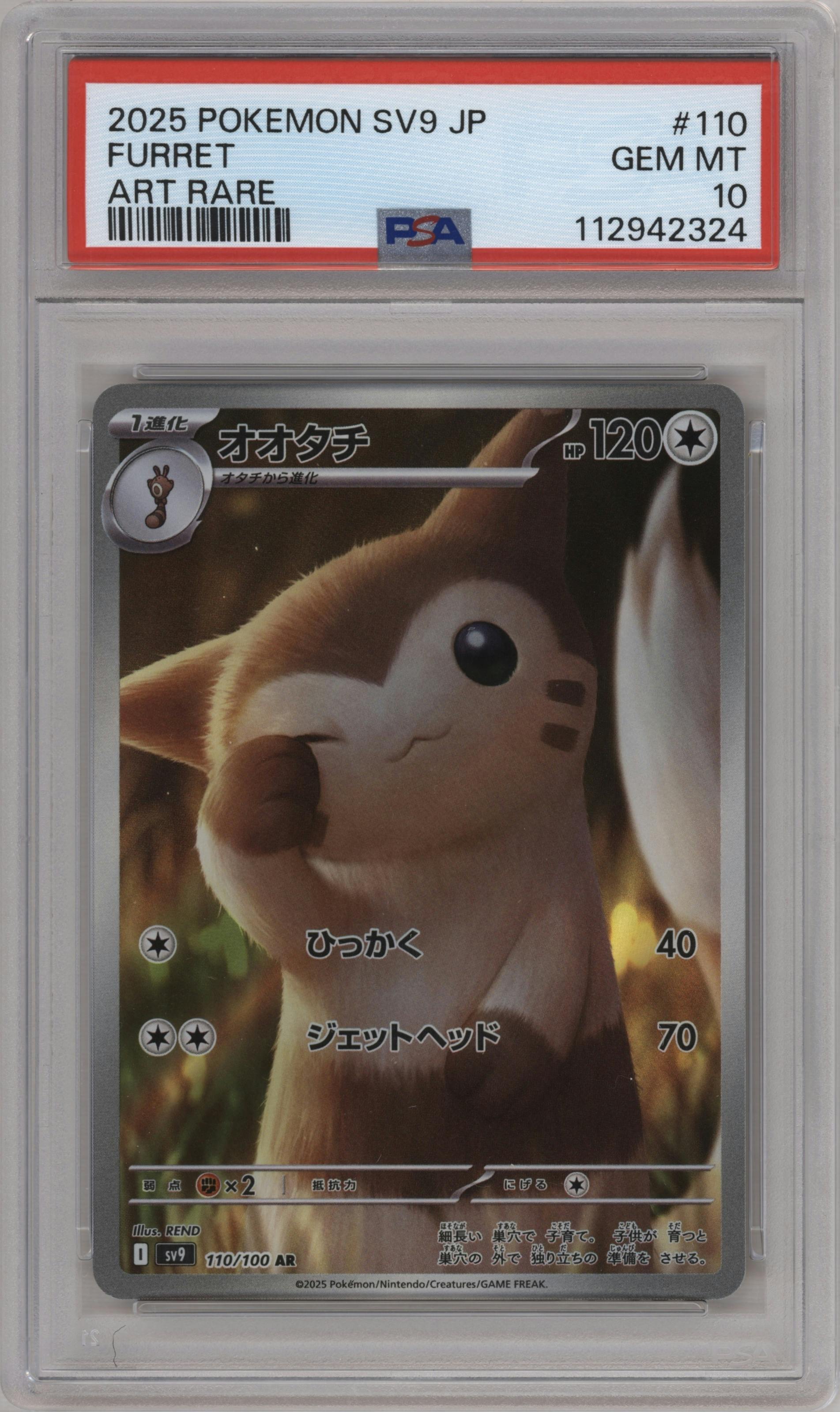Furret from the 2025 Pokemon SV JPN set graded by PSA and given an overall grade of 10.