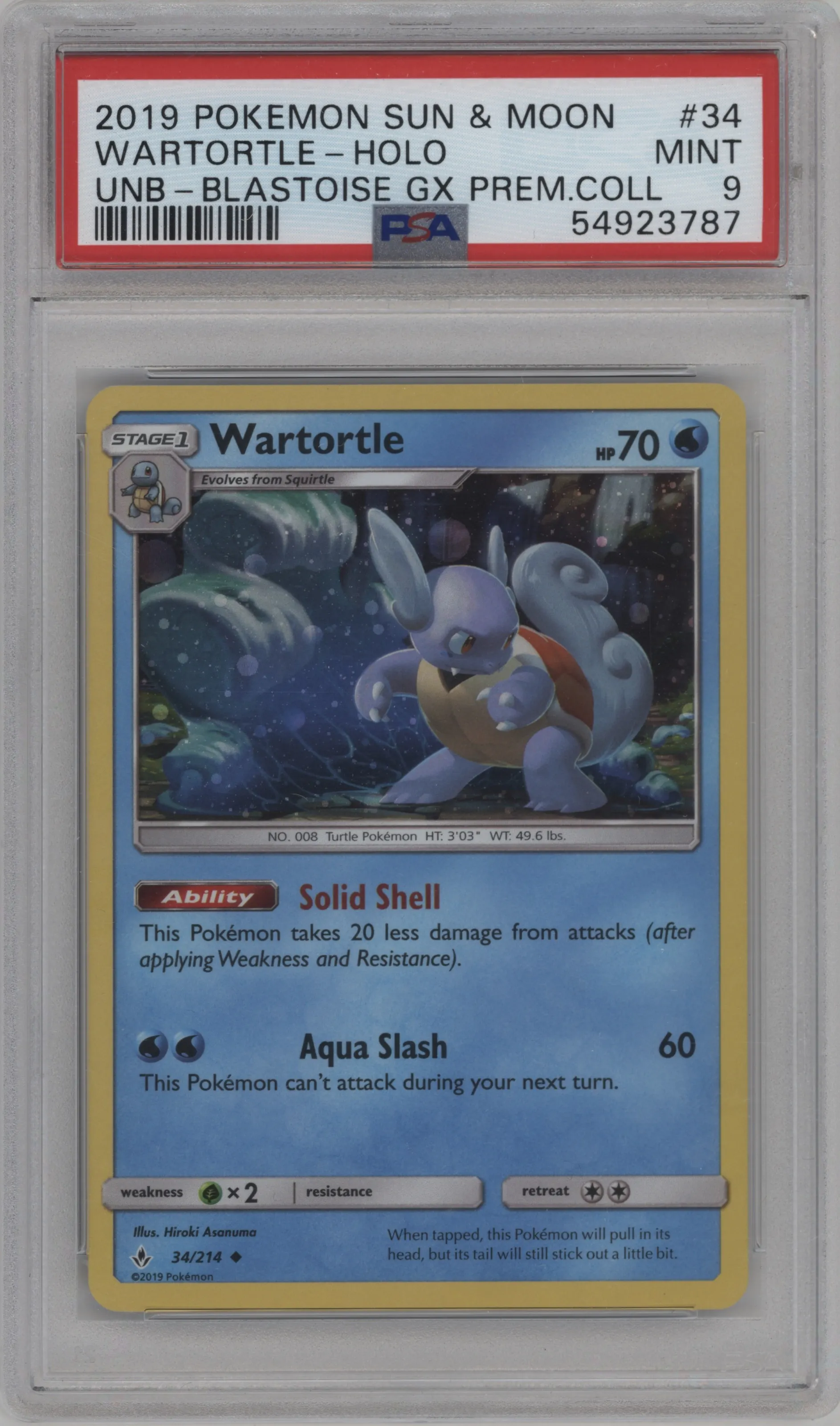 Wartortle