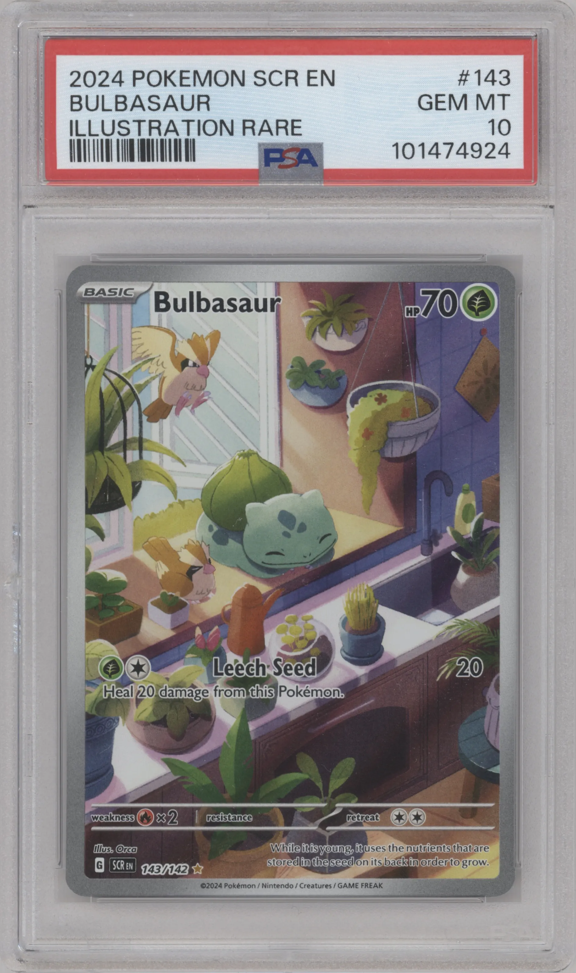 Bulbasaur from the 2024 Pokemon SV set graded by PSA and given an overall grade of 10.