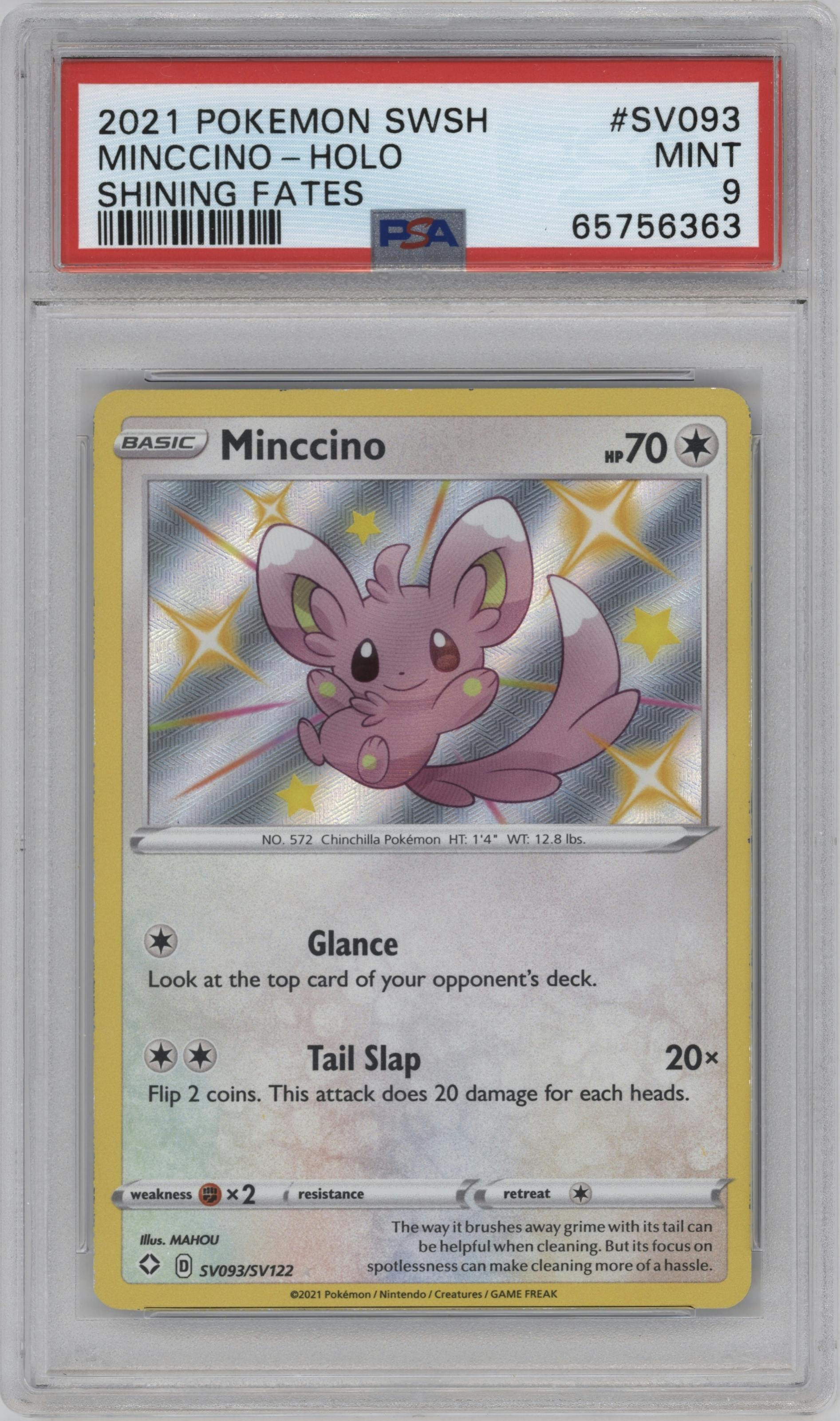Minccino