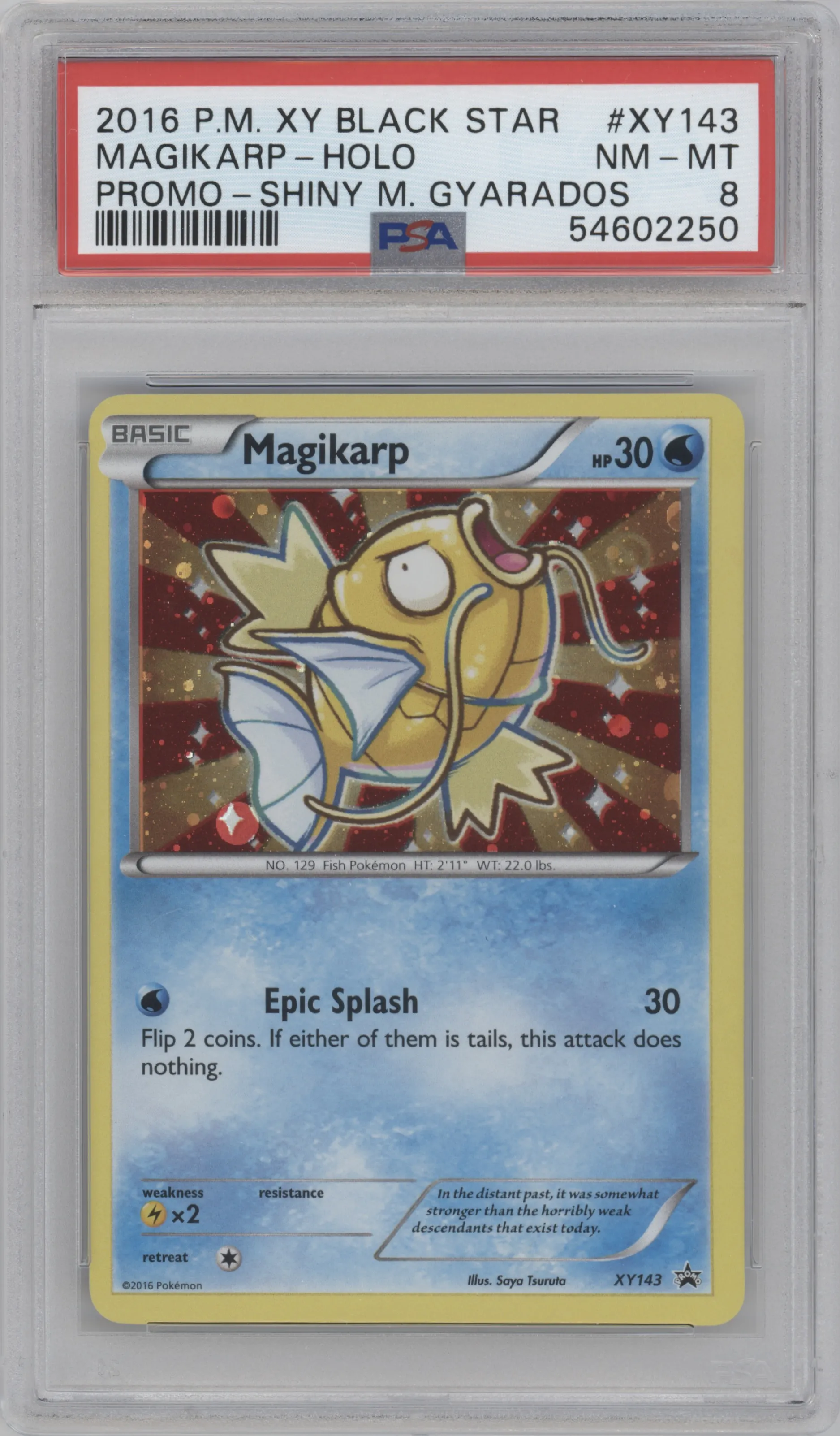 Magikarp from the 2016 Pokemon XY set featuring a Shiny Mega Gyarados Collection parallel graded by PSA and given an overall grade of 8.