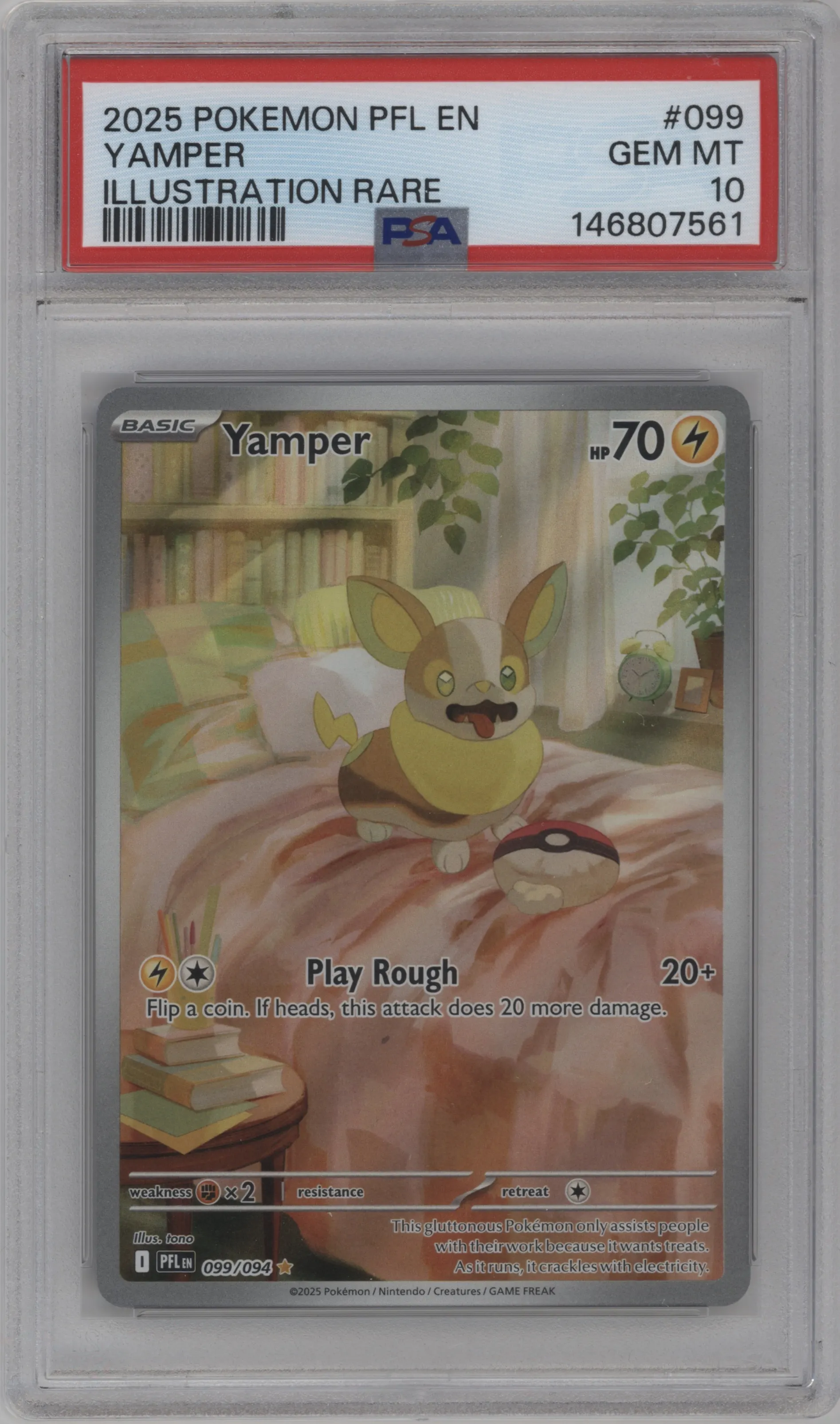 Yamper