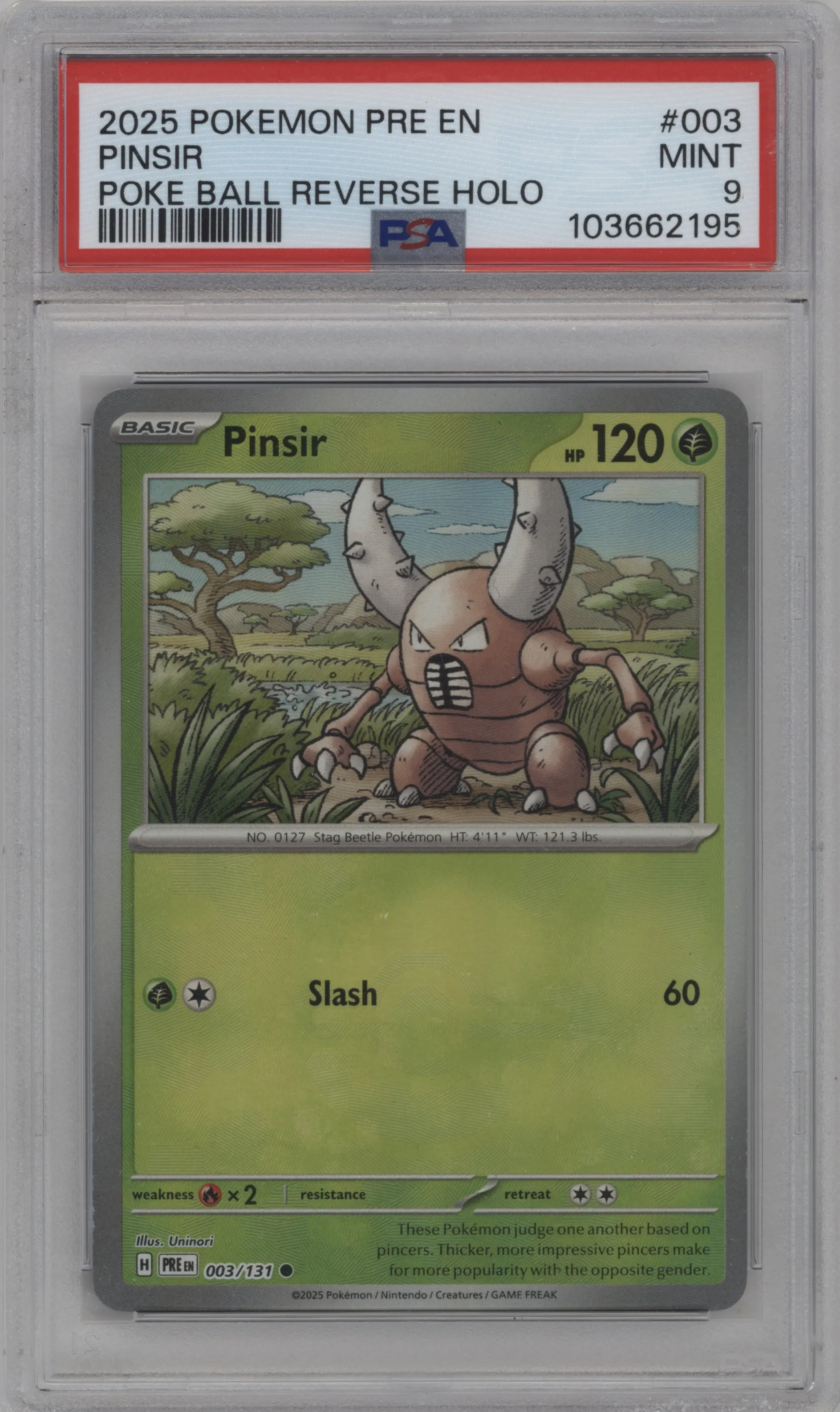 Pinsir