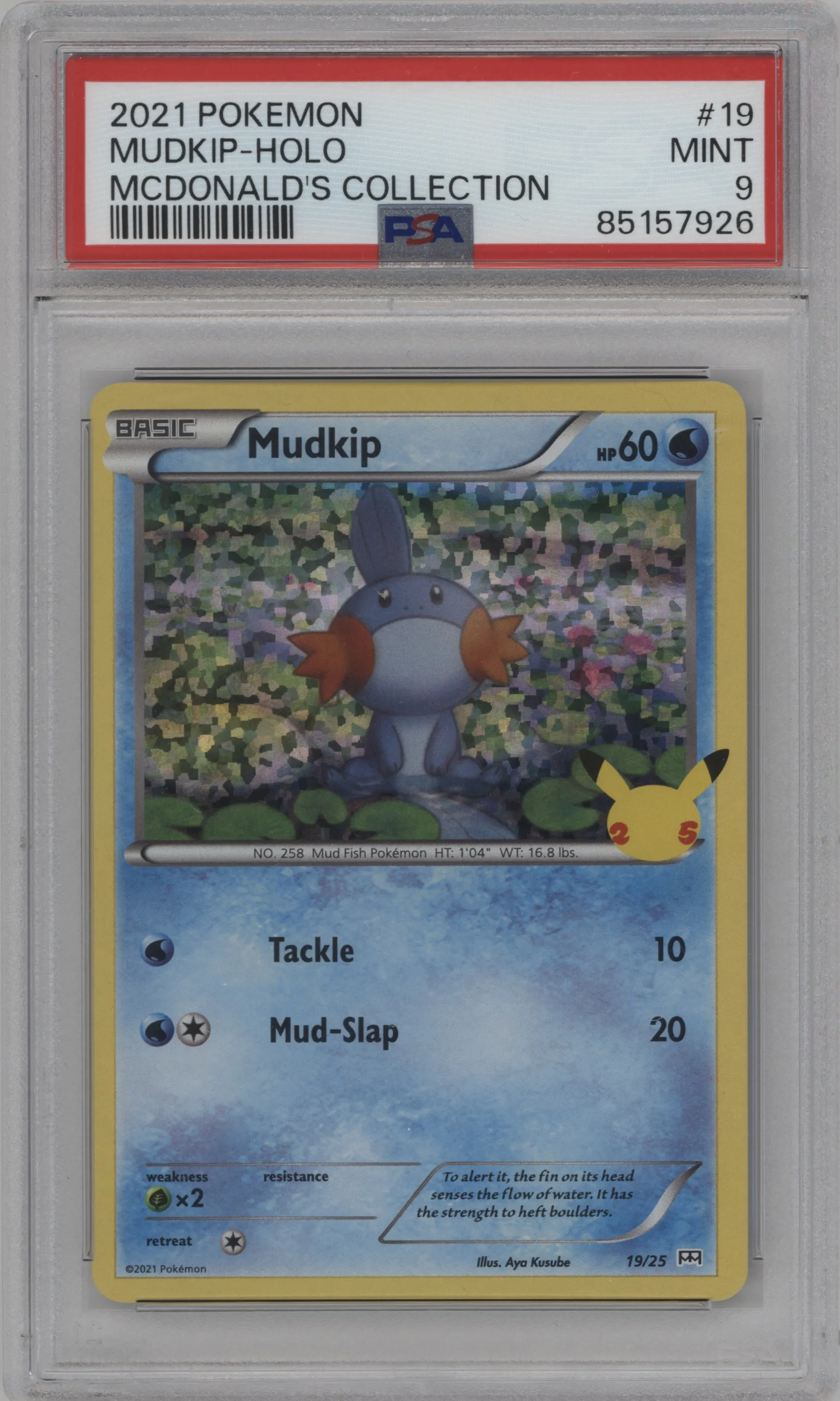 Mudkip