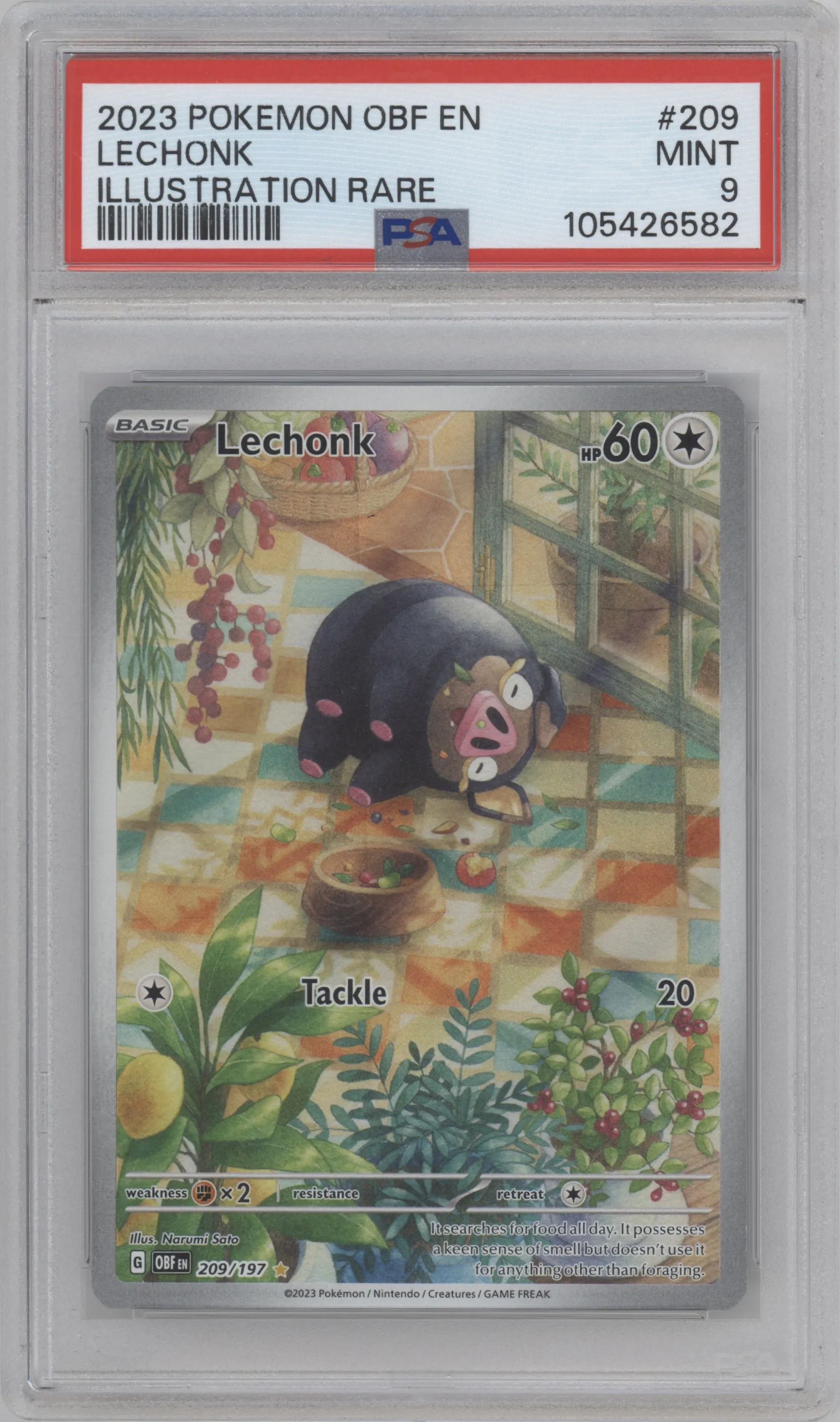 Lechonk from the 2023 Pokemon SV set graded by PSA and given an overall grade of 9.