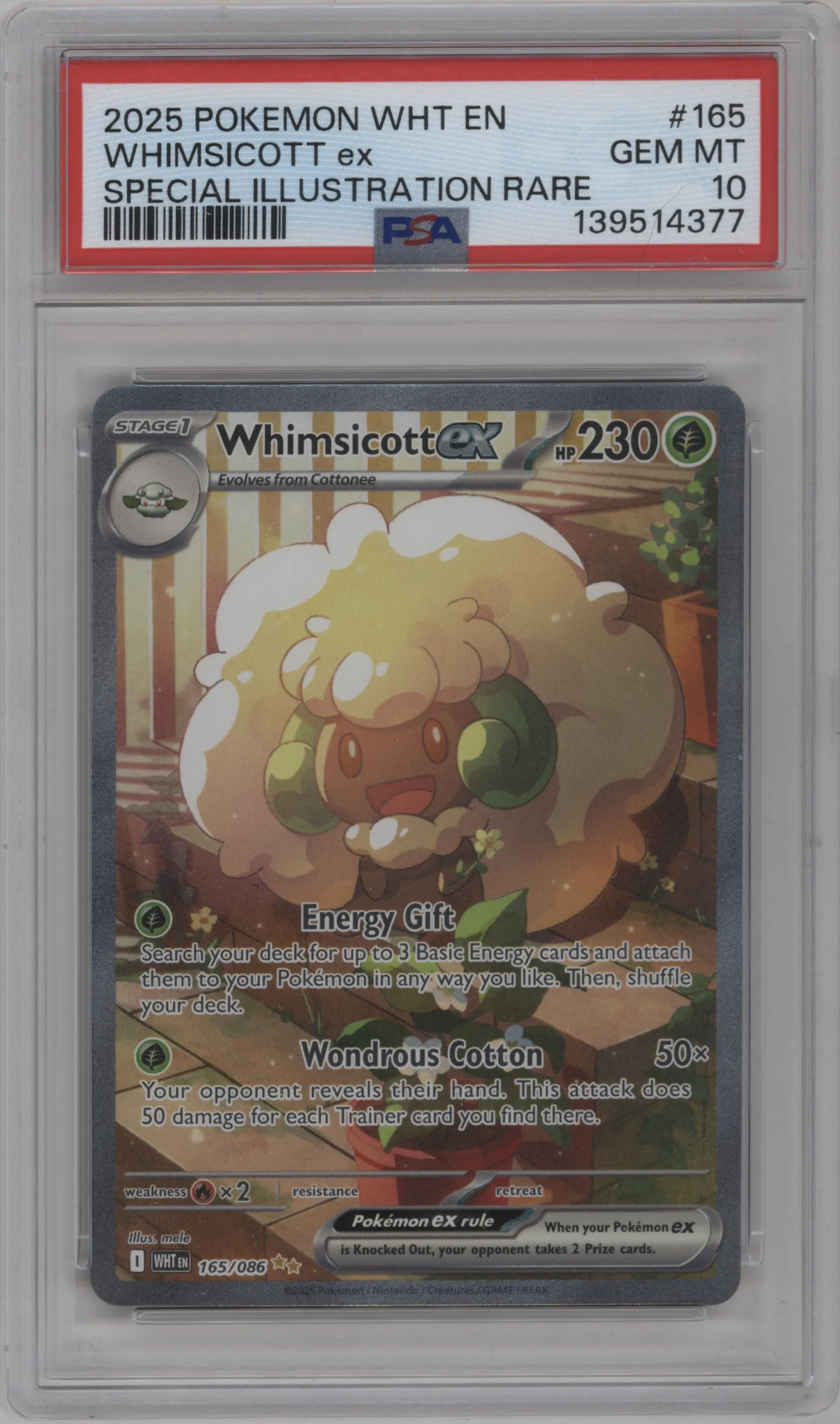 Whimsicott ex