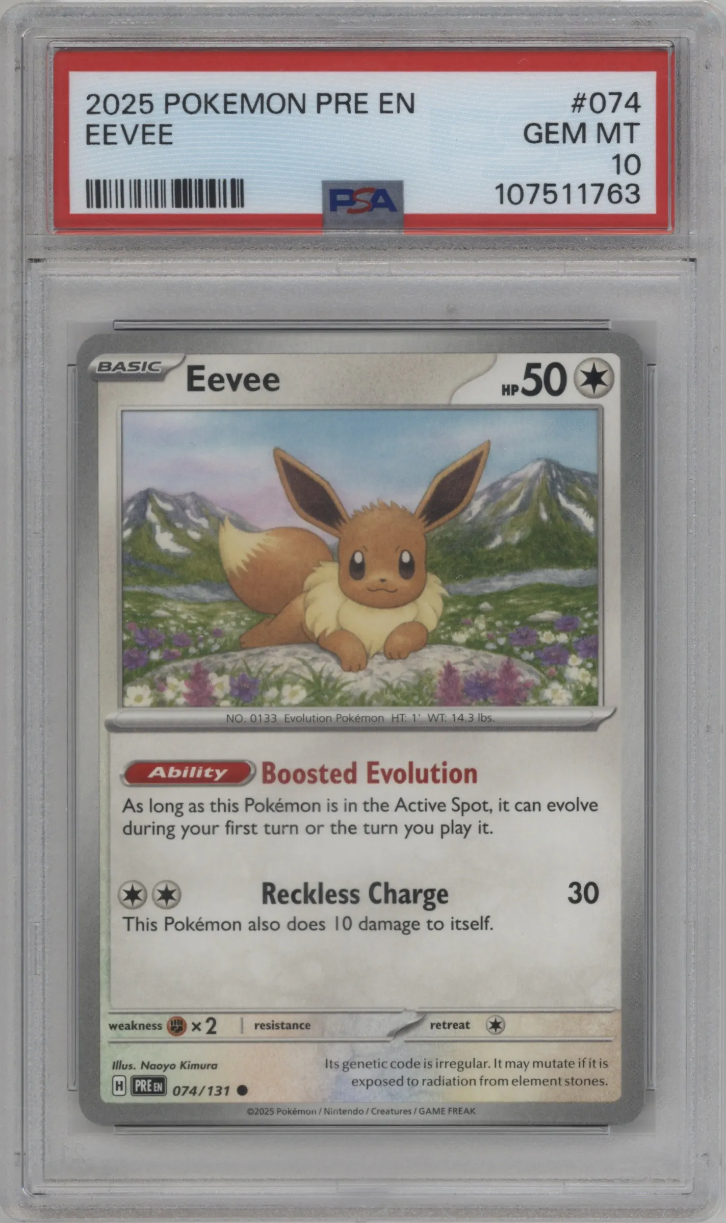 Eevee
