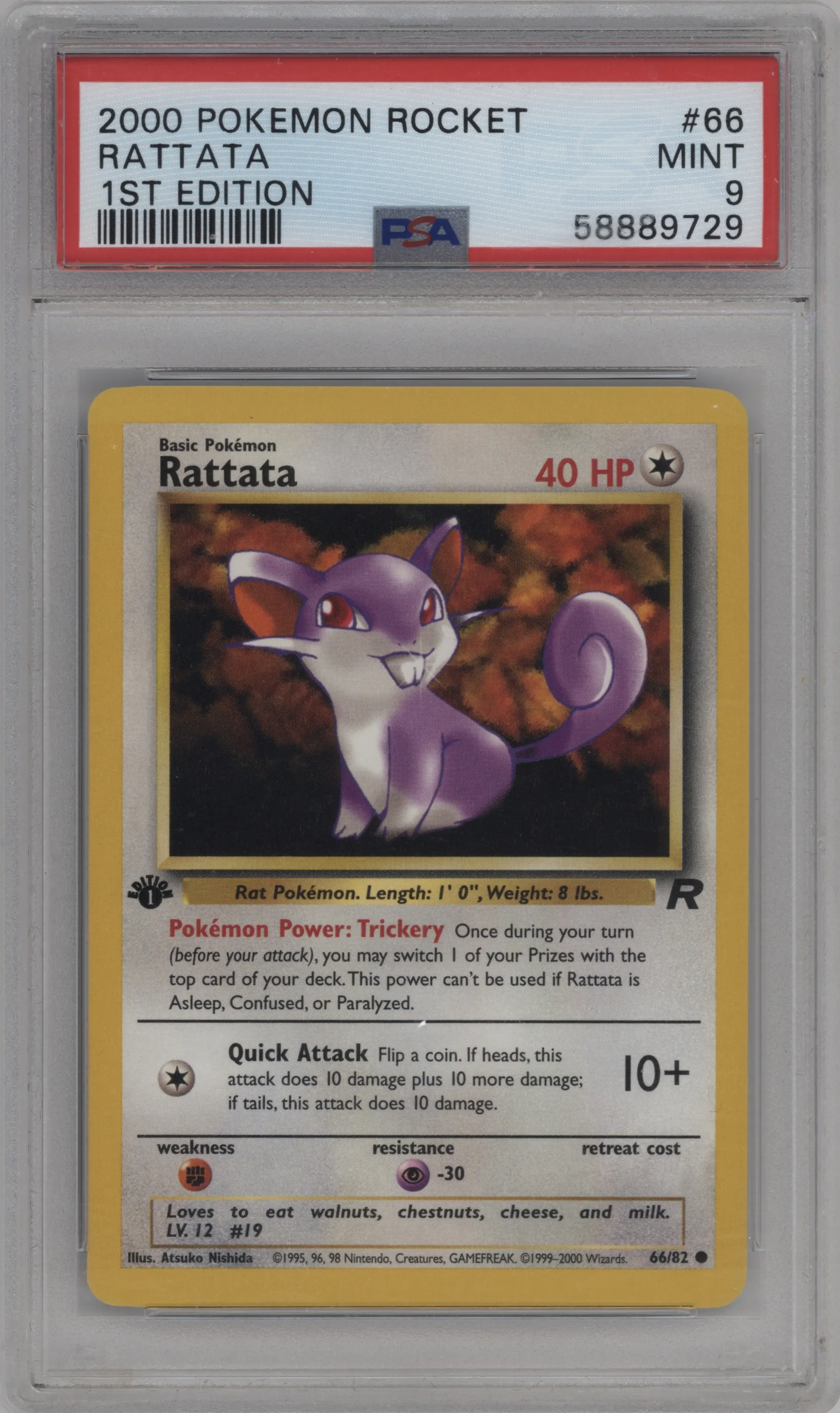 Rattata