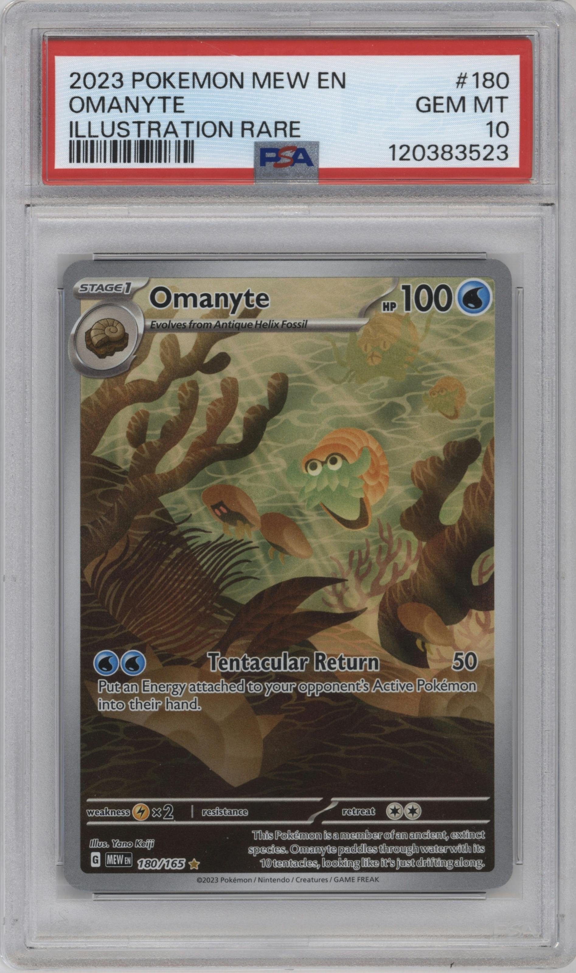 Omanyte