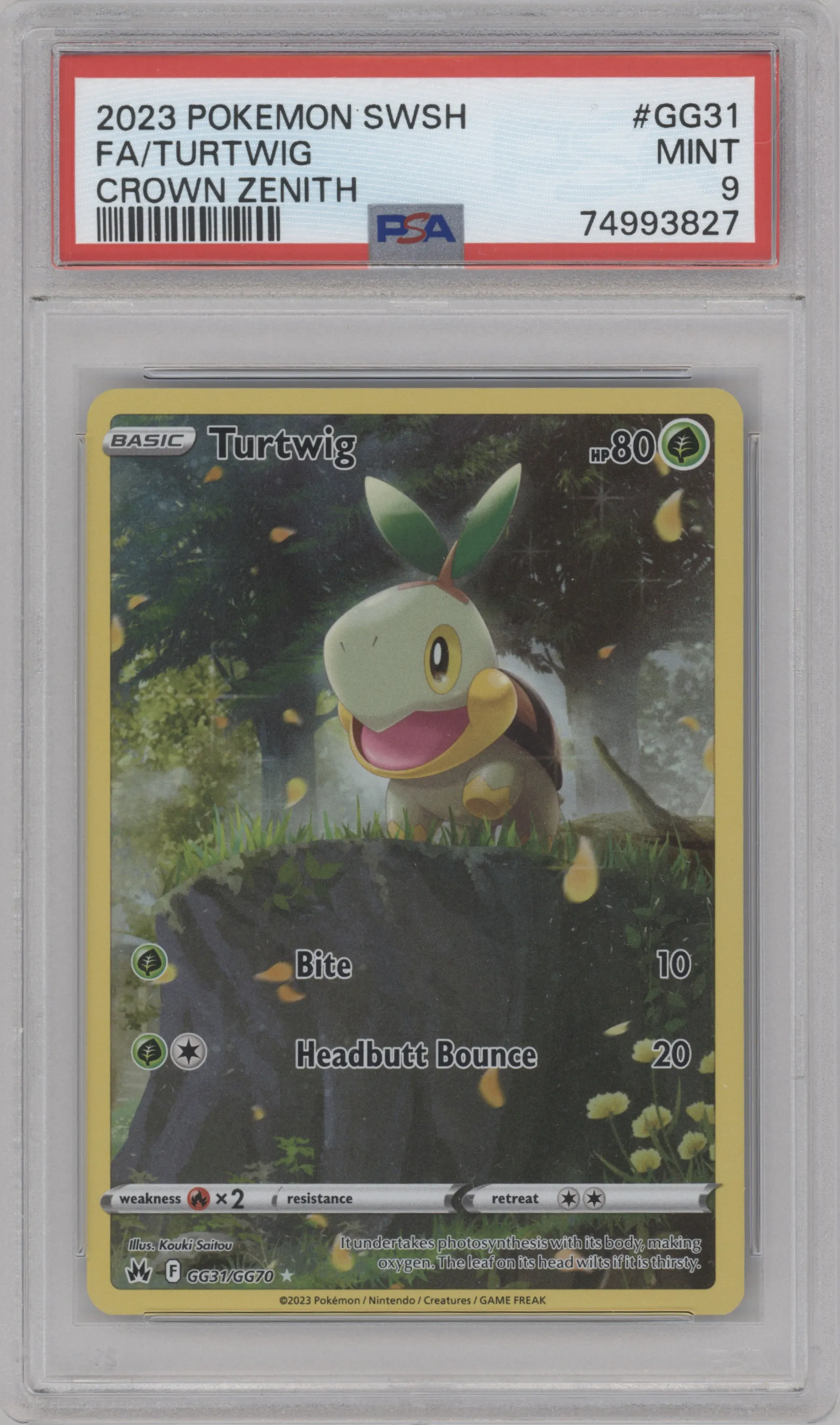 Turtwig from the 2023 Pokemon SWSH set graded by PSA and given an overall grade of 9.