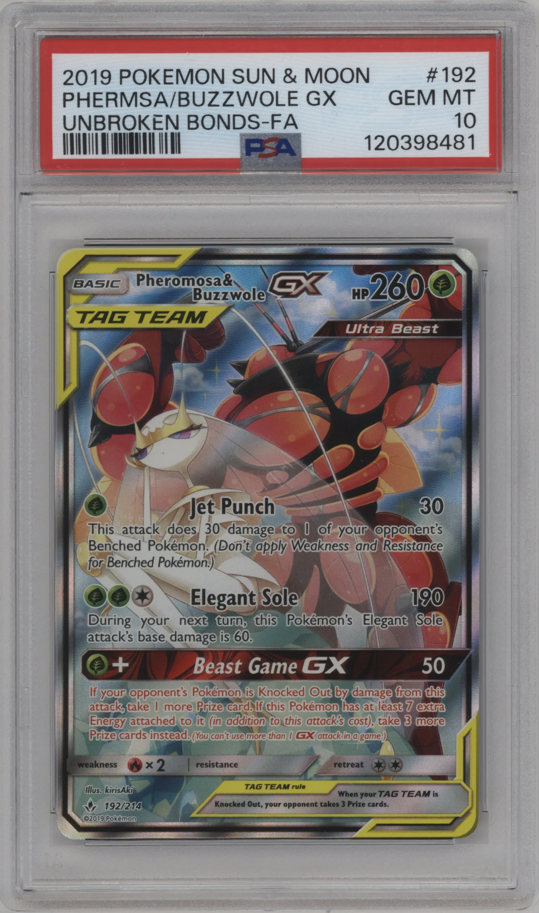Pheromosa/Buzzwole GX
