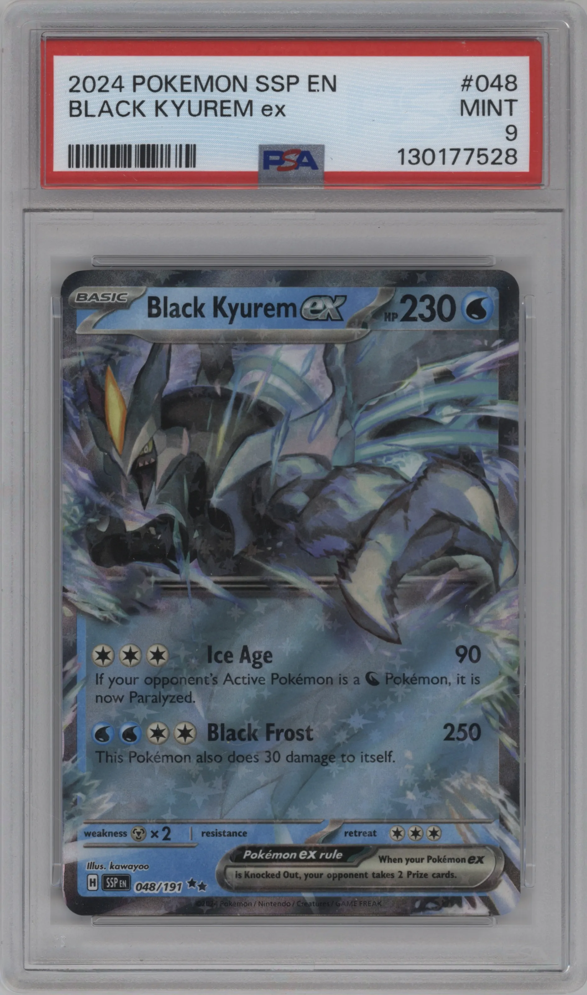 Black Kyurem ex
