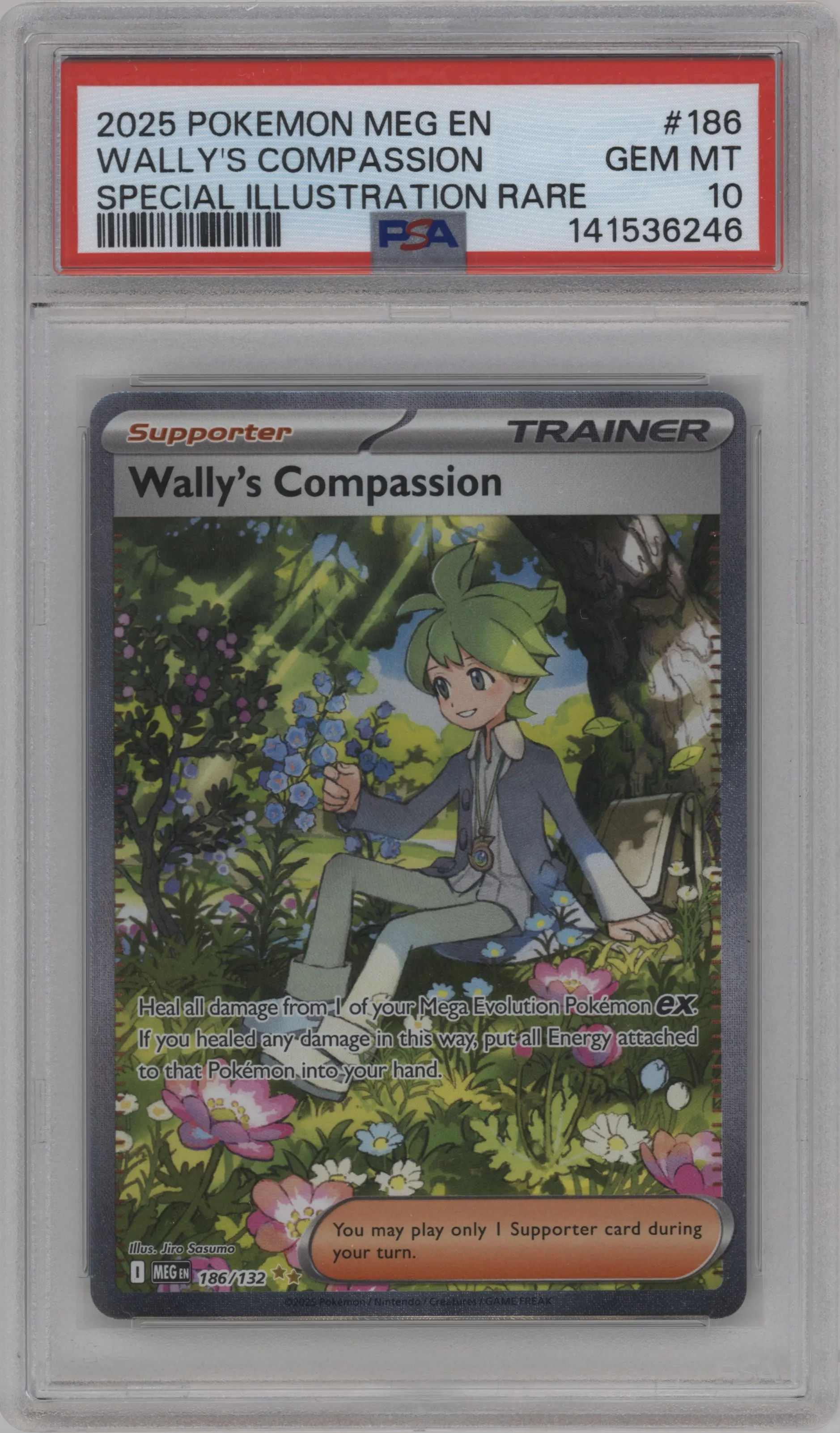 Wally's Compassion