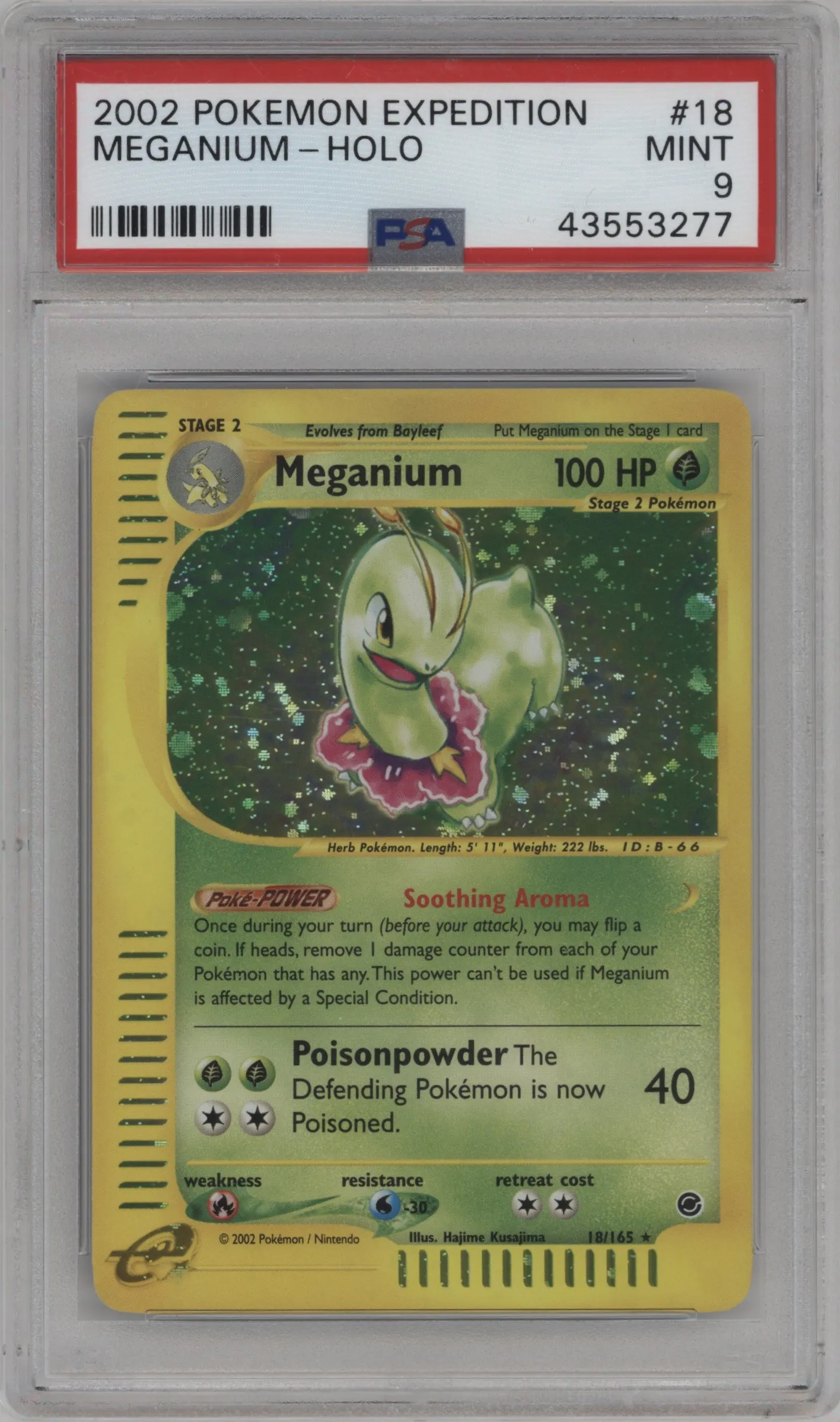 Meganium