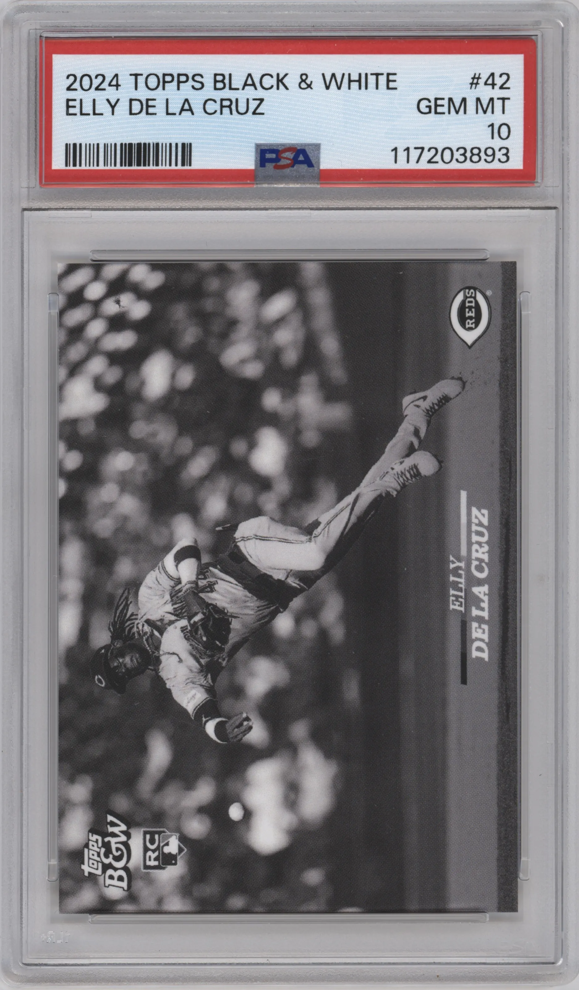 Elly De La Cruz  from the 2024 Topps Black & White set graded by PSA and given an overall grade of 10.