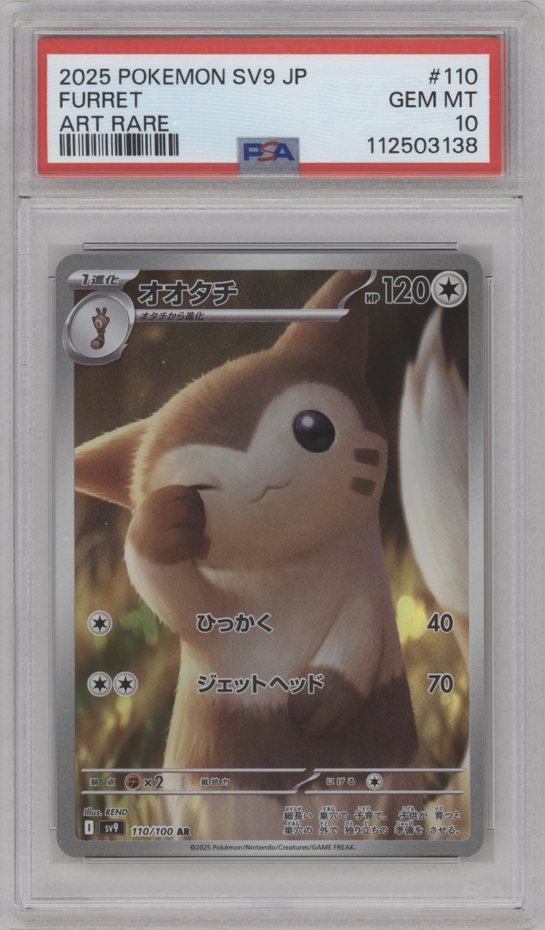 Furret from the 2025 Pokemon SV JPN set graded by PSA and given an overall grade of 10.