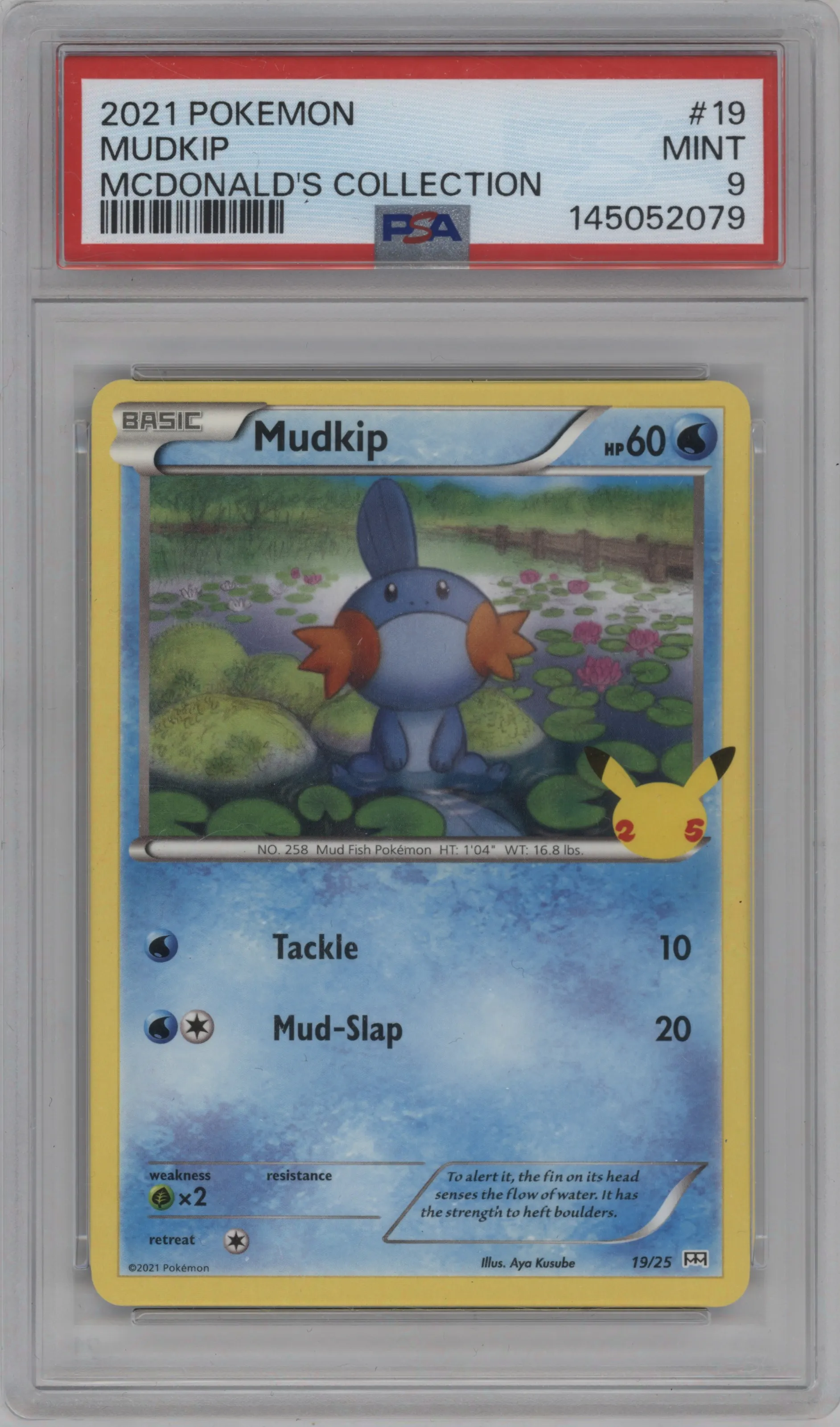 Mudkip