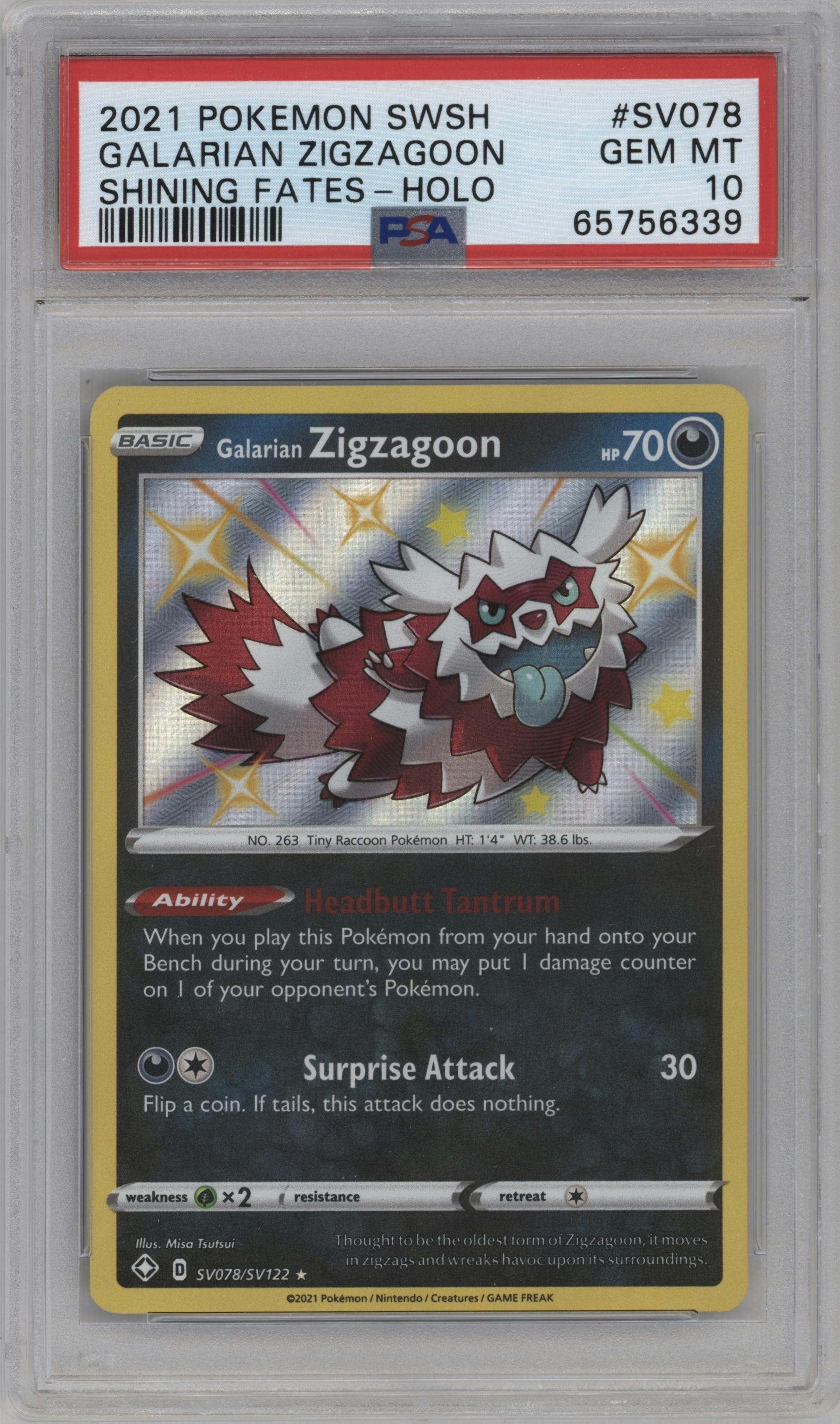 Galarian Zigzagoon