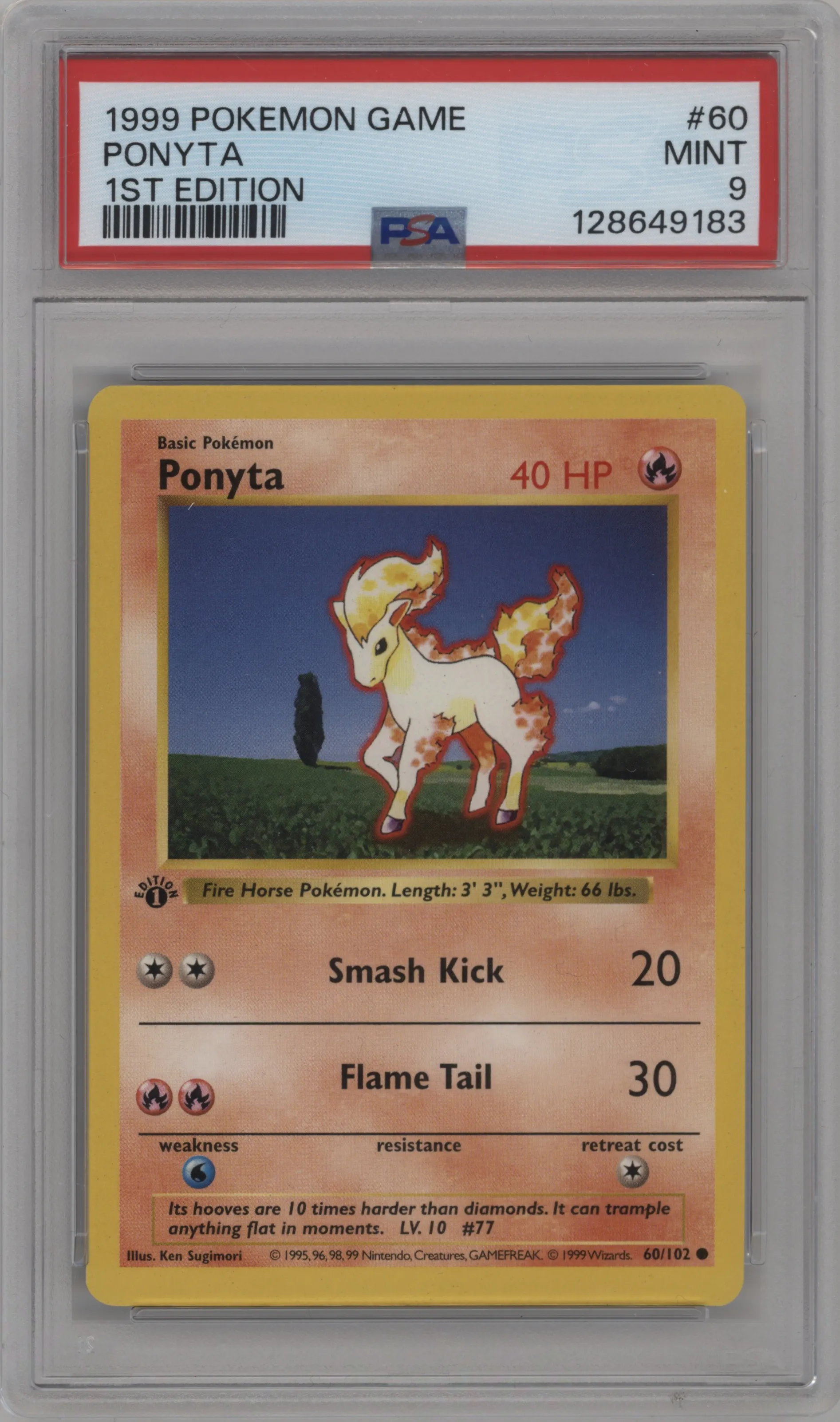 Ponyta